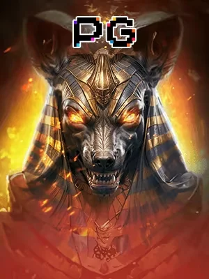 Provider 3